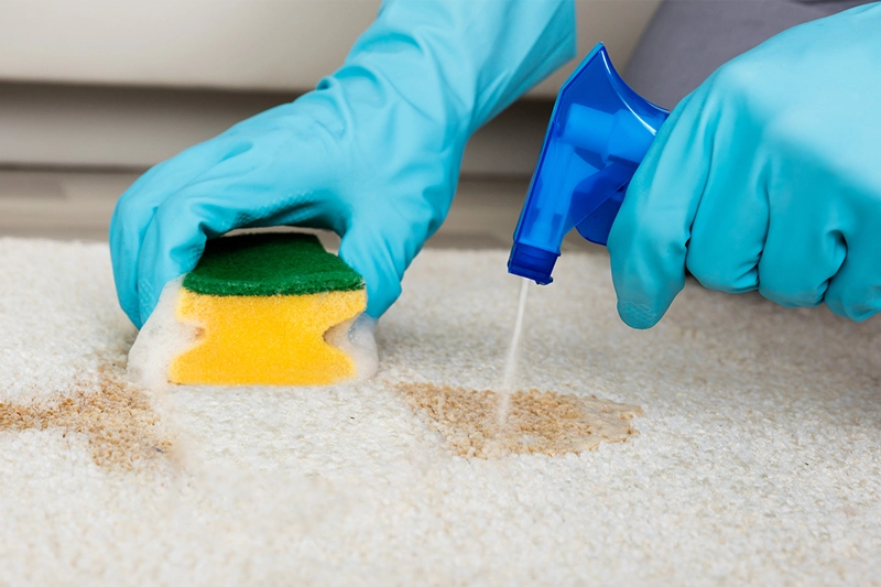 Eco-Friendly Cleaning Solutions