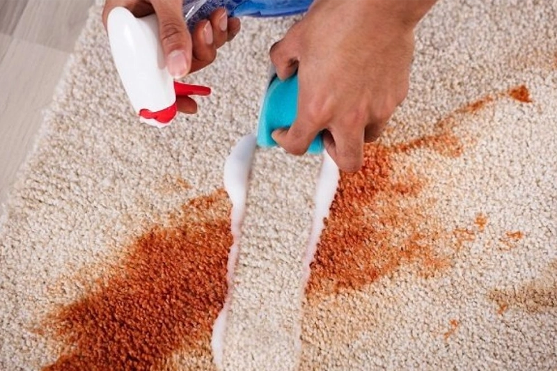 Expert Stain Removal